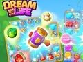 Jeu Vie de rêve  en ligne