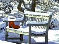 Jeu Échapper à Noël du jardin  en ligne