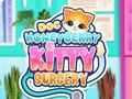 Jeu Doc HoneyBerry Kitty Chirurgie  en ligne