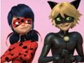 Jeu Puzzle Miraculous Ladybug & Chat Noir  en ligne