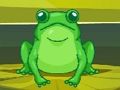 Jeu Grenouille Match Master  en ligne