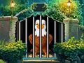 Jeu Évasion d'aigle intrépide  en ligne