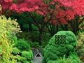 Jeu Évasion de jardin de feuille d'érable  en ligne