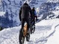 Jeu Puzzle de vélos de montagne  en ligne