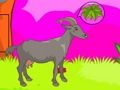 Jeu Évasion de loup  en ligne