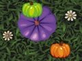 Jeu Match de citrouille de couleur  en ligne