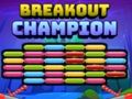 Jeu Champion de l'évasion  en ligne