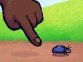 Jeu Toucheur d'insectes  en ligne