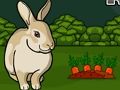 Jeu Sauvez le lapin gris  en ligne