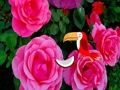 Jeu Escapade Rose Précieuse  en ligne