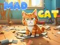 Jeu Chat fou  en ligne
