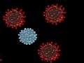 Jeu Tuez le virus  en ligne