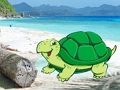 Jeu Évasion de paire de crabe de plage  en ligne