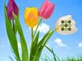 Jeu Évasion de la pelouse fleurie  en ligne