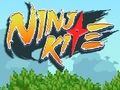 Jeu Cerf-volant ninja  en ligne