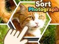 Jeu Trier la photographie  en ligne