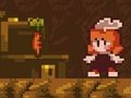 Jeu La forêt perdue  en ligne