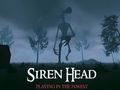 Jeu Tête de sirène : jouer dans la forêt  en ligne