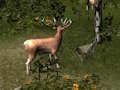 Jeu Tireur d'élite chassant un animal mortel  en ligne