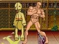 Jeu Combats fous  en ligne