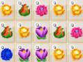 Jeu Fusion de fleurs  en ligne