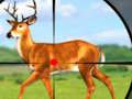Jeu Jeux de chasse sauvage 3D  en ligne