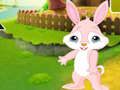 Jeu Trouvez le copain lapin  en ligne
