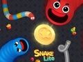 Jeu Ver Serpent Lite  en ligne