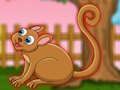 Jeu La jolie évasion du Tarsier  en ligne