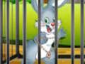 Jeu L’énigme de la carotte et du lapin  en ligne