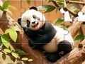 Jeu Puzzle : Panda sur un arbre  en ligne