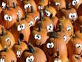 Jeu Puzzle d'Halloween  en ligne