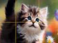Jeu Puzzle Chatons Coulissants  en ligne