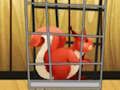 Jeu Sauvez l'écureuil roux de la cage  en ligne