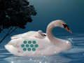 Jeu Sauvez la mère-enfant du cygne  en ligne