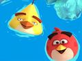 Jeu Livre de coloriage : Angry Birds  en ligne