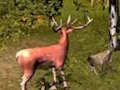 Jeu Chasse au cerf  en ligne