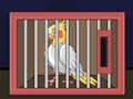 Jeu Relâchez l'oiseau calopsitte  en ligne