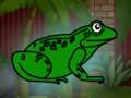 Jeu Sauvez le crapaud vert du donjon  en ligne