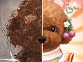 Jeu Maître maquilleur pour animaux de compagnie  en ligne