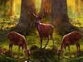 Jeu Évasion dangereuse d'un animal chasseur  en ligne