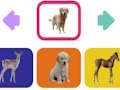 Jeu Bébés animaux  en ligne