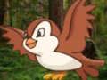 Jeu Aidez l'oiseau assoiffé  en ligne