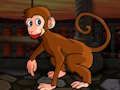Jeu Évasion diminutive du macaque  en ligne