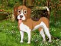 Jeu Évasion de chien dans le jardin fleuri  en ligne