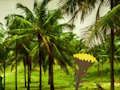 Jeu Échapper au pays des noix de coco  en ligne