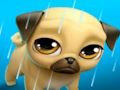 Jeu Mon animal de compagnie virtuel Louie le carlin  en ligne