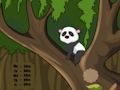 Jeu Évasion de la jungle des pandas  en ligne