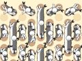 Jeu Ramassage de poissons  en ligne