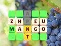 Jeu Diapositive de mots  en ligne